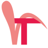 vt-logo1-25